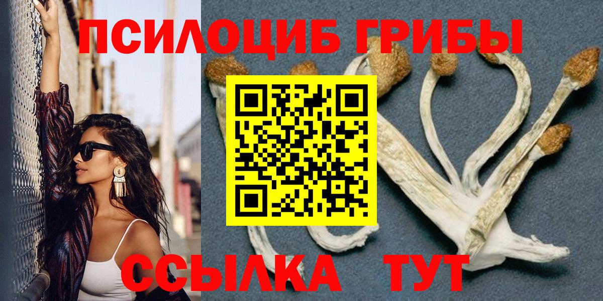 Галлюциногенные грибы Cubensis Сокол