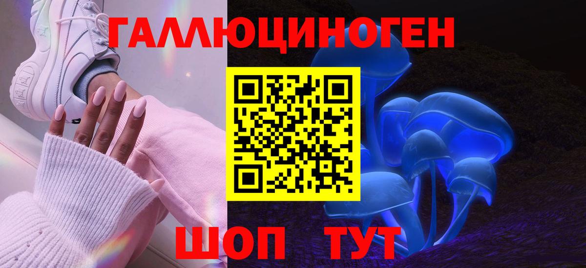 Сокол  Псилоцибиновые грибы MAGIC MUSHROOMS  Вход с VPN 